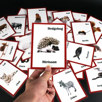 30шт Флэш-карт с английскими/французскими животными и словами, детские Игры Монтессори, Обучающие карточки со словами, ранняя развивающая игрушка для детей, малыш